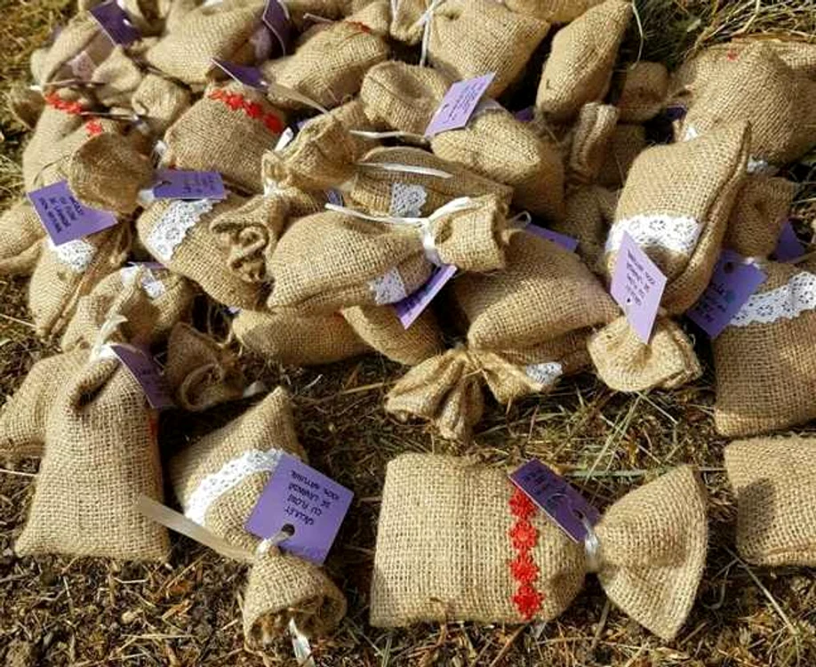 lavanda 2 