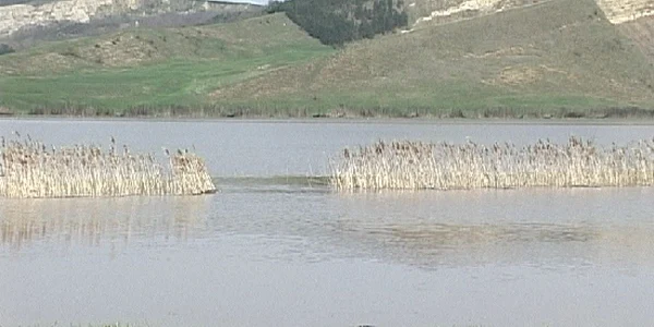 Autorităţile preconizează inundaţii astăzi în zona Lechinţa 
