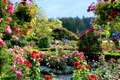 adelaparvu com despre gradina cu flori foto the butchart gardens jpg