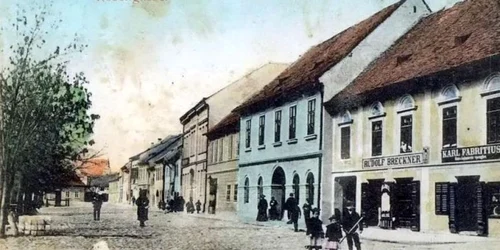 sebes arhiva