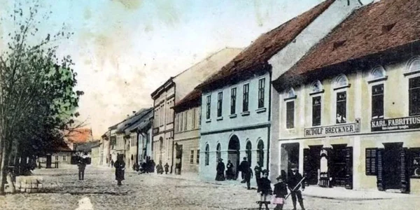 sebes arhiva
