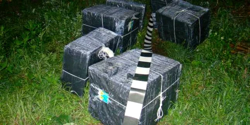 tigari de contrabanda