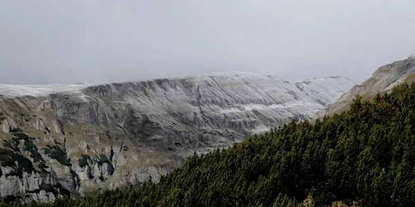zapada Bucegi