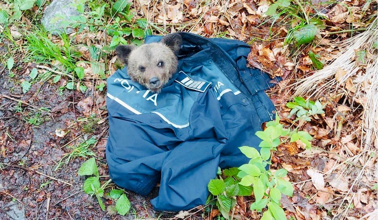 Angajații Gradinii Zoologice l-au hrănit cu biberonul pe puiul de ursFOTO: Facebook/ Poliția Română