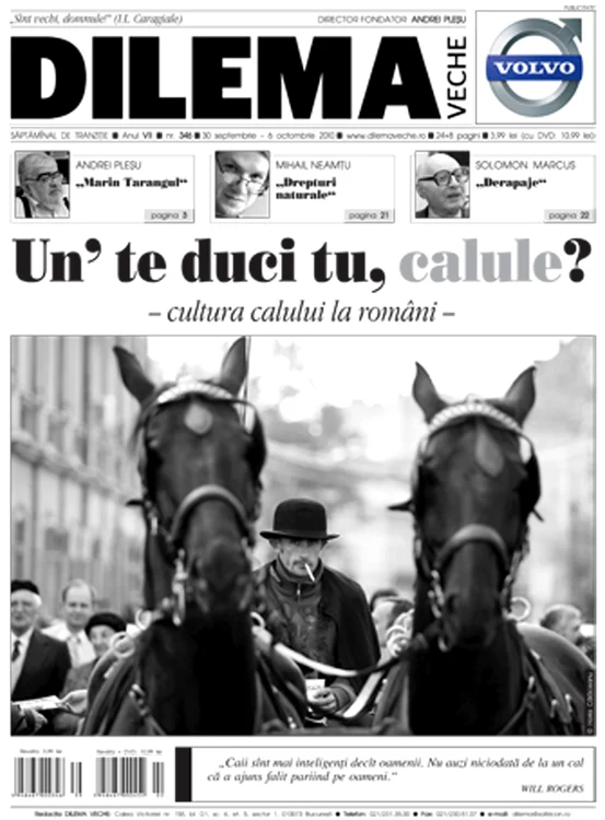 Un' te duci tu, calule? jpeg