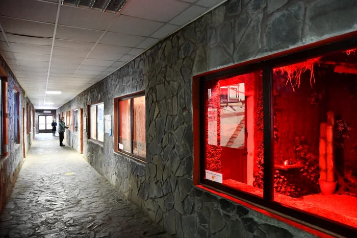 Zona cuștilor încălzite de la Zoo Băneasa