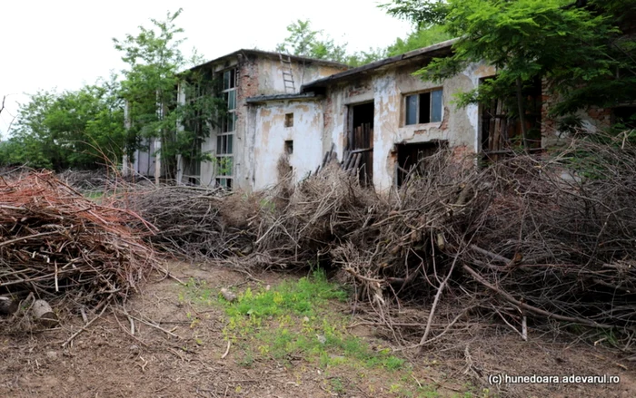 ruinele minei teliuc si halda de steril foto daniel Guta adevarul