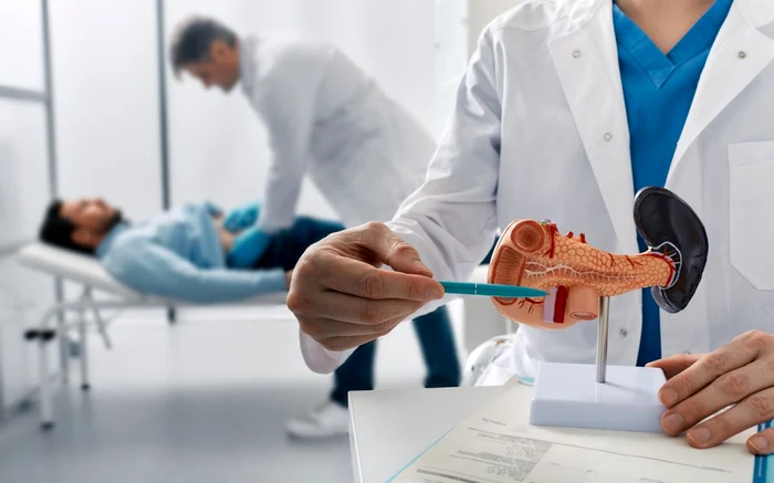 Un medic arată shema unui pancreas