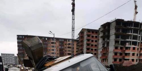 stada surpata chiajna foto cornel zainea facebook