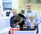 SofistiCAT de mai 