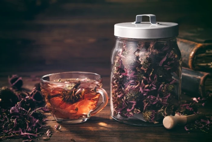 Ceaiul de echinacea a câștigat popularitate în întreaga lume