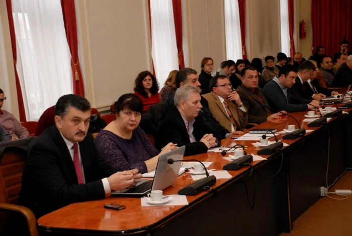 Meiducl Carmen Pantis a depus juramantul de consilier