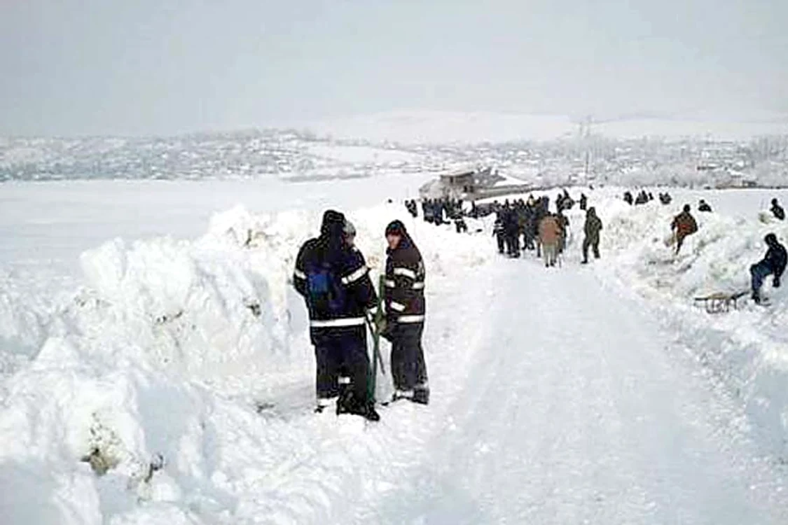 Nord este dresat special pentru misiuni de căutare şi salvare (FOTO: ZIARUL DE IAŞI )