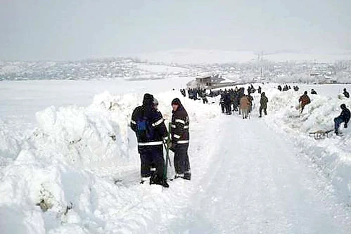 Nord este dresat special pentru misiuni de căutare şi salvare (FOTO: ZIARUL DE IAŞI )