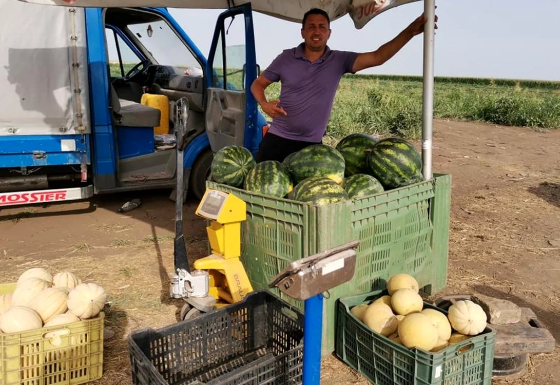 Producătorii de lubeniţă vând marfa direct de pe câmp FOTO Ş.Both