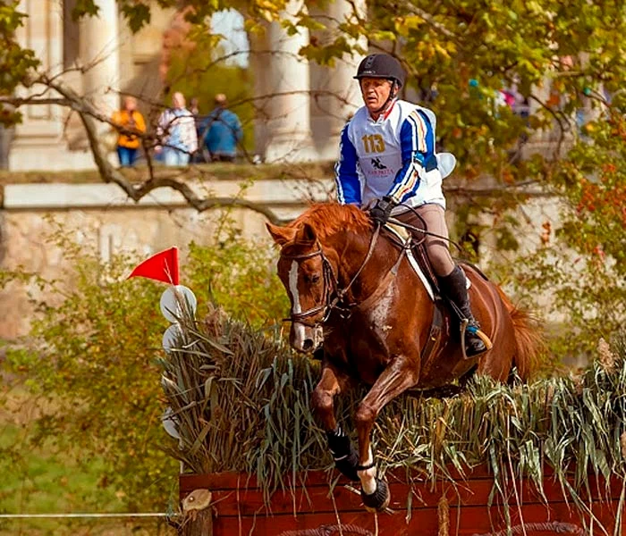 Karpatia Horse Show 2018 jpeg