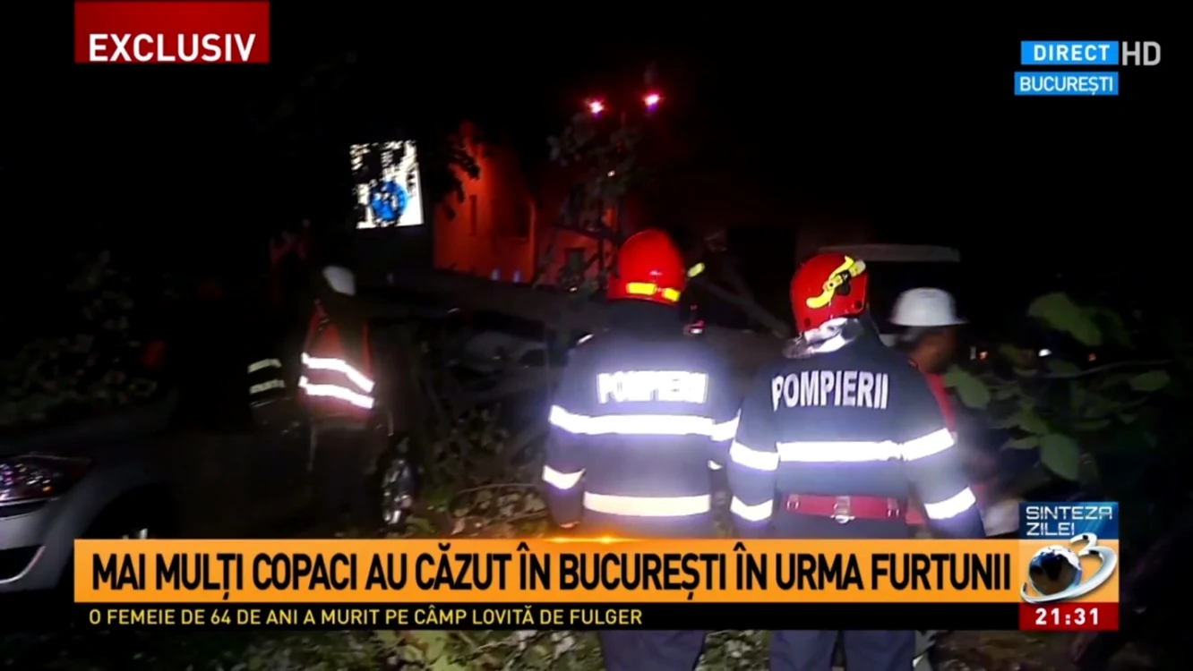 furtuna la tv foto captura