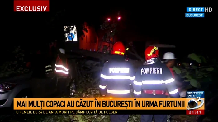 furtuna la tv foto captura