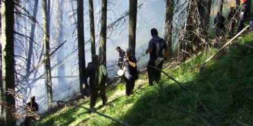 Pompierii militari luptandu-se cu incendiul din munți