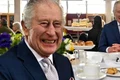 banner regele charles png
