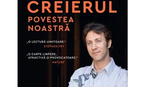 Muzeul de Artă Recentă, Astra Film Festival, Creierul Povestea noastră, District40, Snooker jpeg