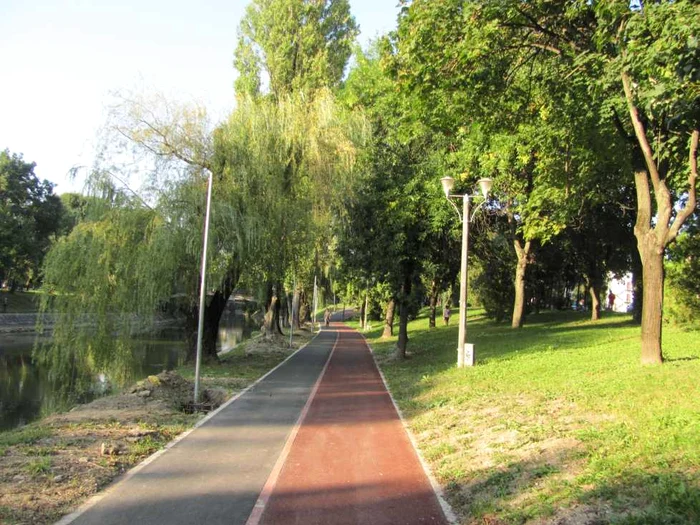 Piasta de biciclete de pe malul Begăi FOTO Ştefan Both