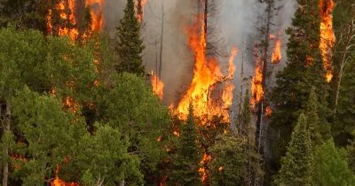 Incendiul a fost provocat de focul în spaţii deschise
