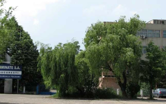 Italienii de la STG au cumpărat Laminorul