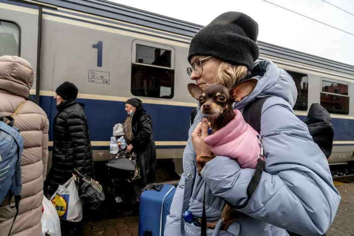 Refugiaţi ucraineni Suceava - 3 mar 2022 / FOTO Inquam Photos / Casian Mitu