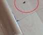 Imagini de la controlul din Azilul Casanova din Râmnicu Vâlcea Sursă Adevărul jpeg