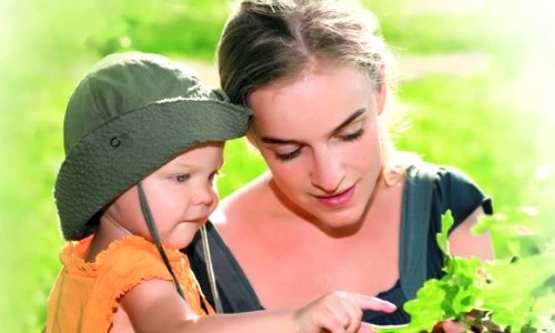 1 46229 original jpg jpeg