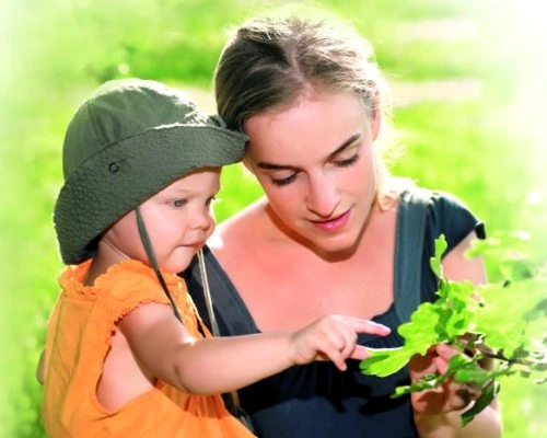 1 46229 original jpg jpeg