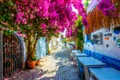 imagine din bodrum  jpg