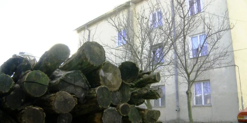 Poliţiştii au cumpărat lemne pentru oamenii afectaţi de viscol
