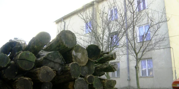 Poliţiştii au cumpărat lemne pentru oamenii afectaţi de viscol
