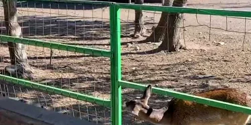 5f91a5375163ec4271203c75 jpg