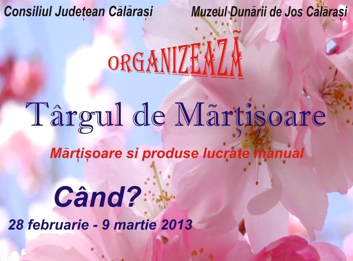 Expoziţia se deschide pe 27 februarie Foto:Muzeul Dunării de Jos