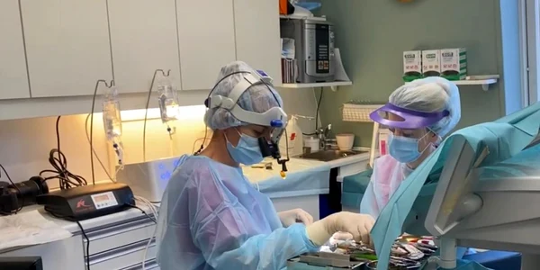 dr
