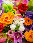 floare jpg