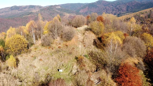 Dealul Cetății, toamna (© Muzeul Național al Carpaților Răsăriteni)