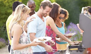 prieteni la gratar11221121212 0 jpeg