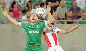 moti 7390276 mediafax foto aleksandar djorovic jpeg