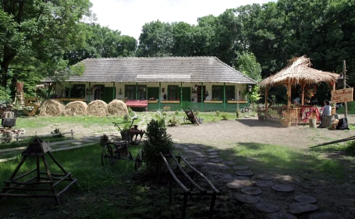 Ferma Vedetelor s-a schimbat la faţă după ce cei 16 au trudit trei luni în ogradă