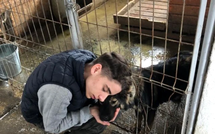 Costi Ţitiriga - băiatul de la centrul de plasament din Vâlcea , implicat în salvarea unor câini, în timpul pandemiei de coronavirusFoto: Adevărul