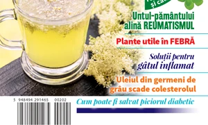 coperta ian 2026 jpg