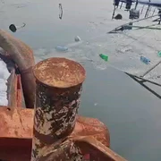 AQOOFPt eGjJ53zyjb vag eg8OPq21L10VDvnD9W2xafGxIlLf30GC8OGvTv1SAQs9iZYlQJLBC 4UIrOzjj5WeIuahhnUl6Whso0ENG5Bj w mp4 thumbnail png