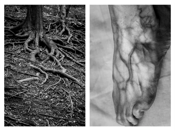 proiect foto Alicja Brodowicz