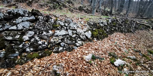 troinaul foto daniel gura adevarul