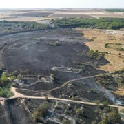 incendiu de vegetatie la Medgidia jpg