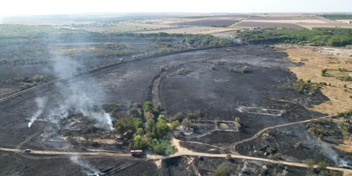 incendiu de vegetatie la Medgidia jpg